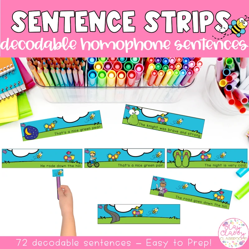 Decodable Homophone Sentence Strips